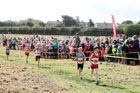 Boys under-11s Start Fitness North Eastern Harriers League, Wrekenton, Gateshead. Photo:  David T. Hewitson/Sports for All Pics